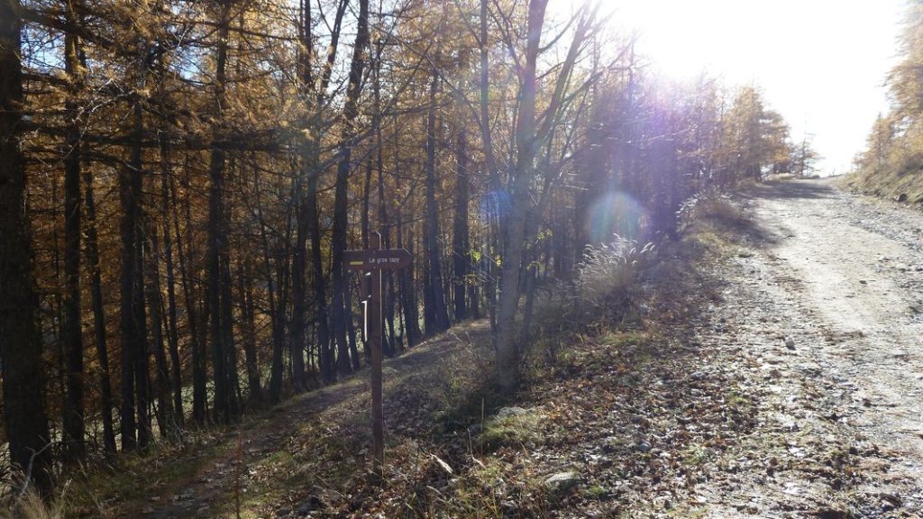 allos_colmars_nov_2012_012.jpg