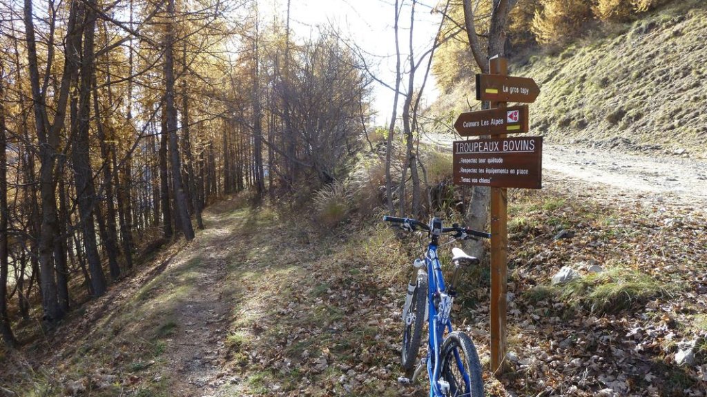 allos_colmars_nov_2012_016.jpg