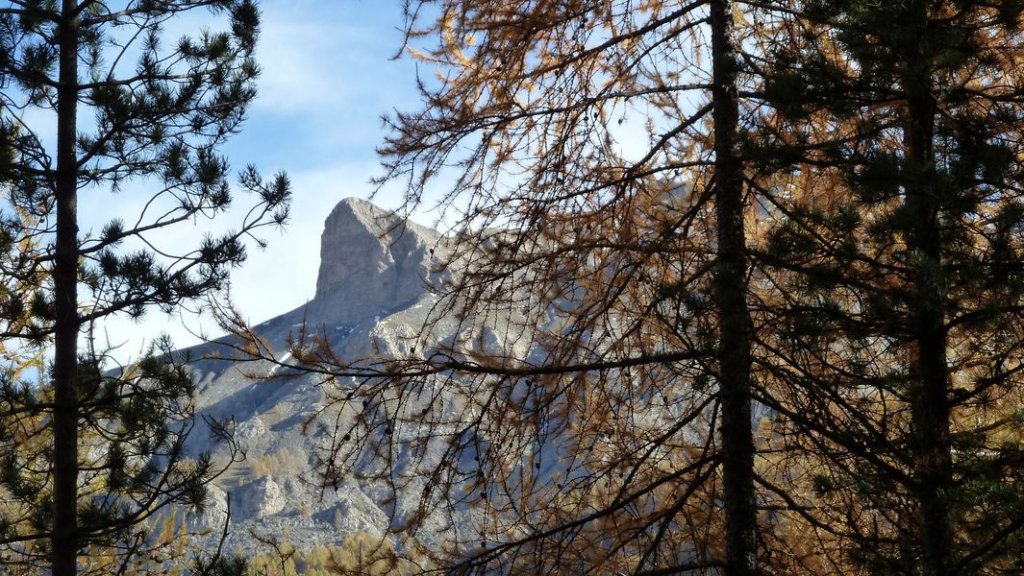 allos_colmars_nov_2012_068.jpg