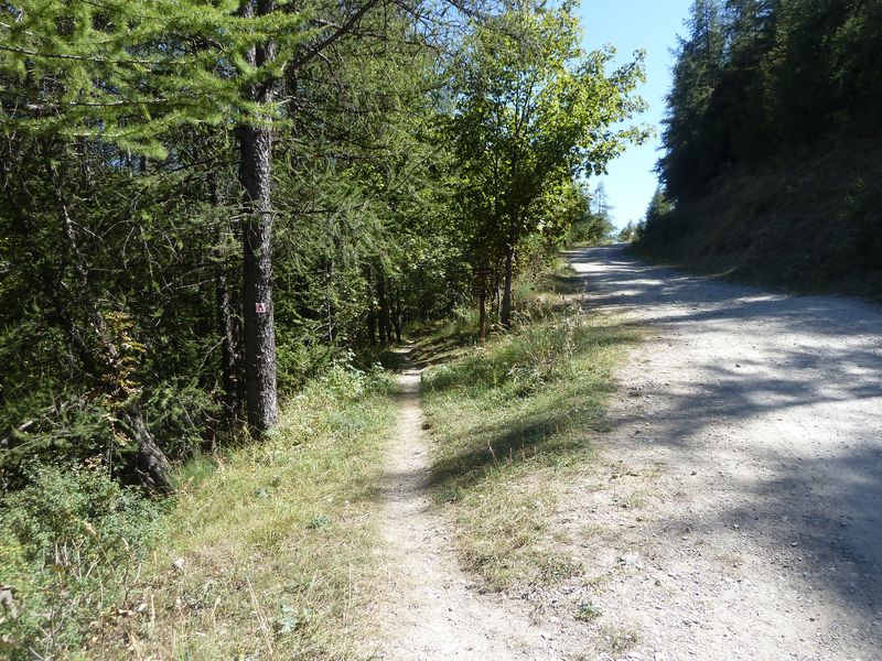 allos_colmars_2011_013.jpg