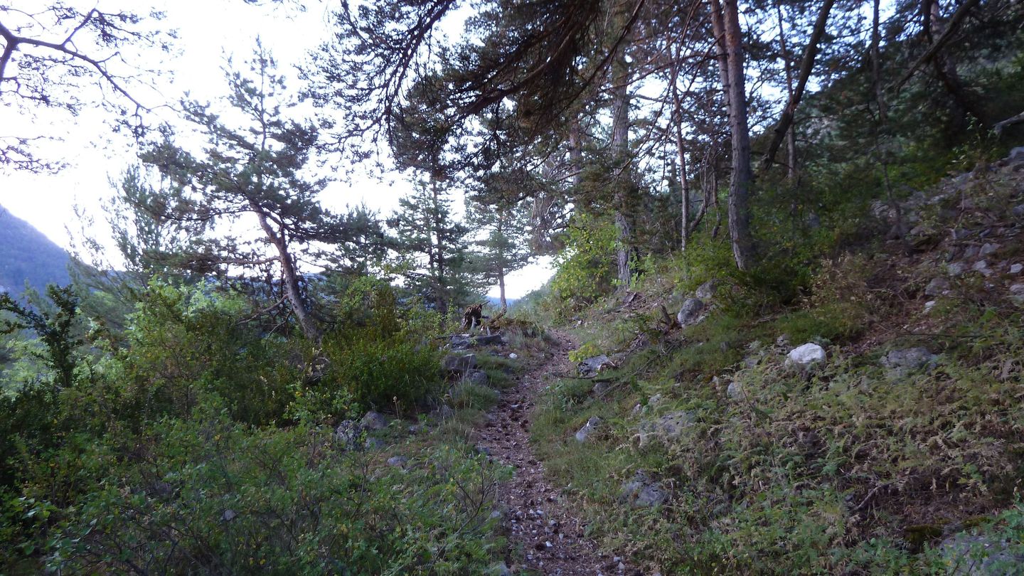 cordoeil_2017_007.JPG