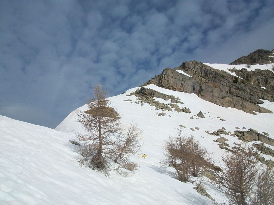 auriac_avril_2014_66.jpg