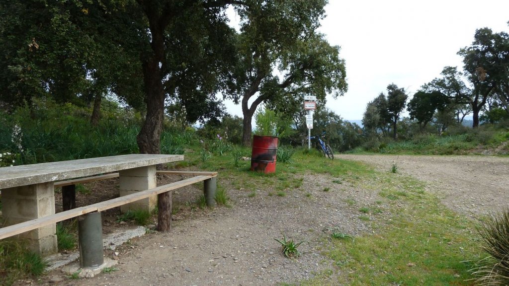 P1080910.JPG