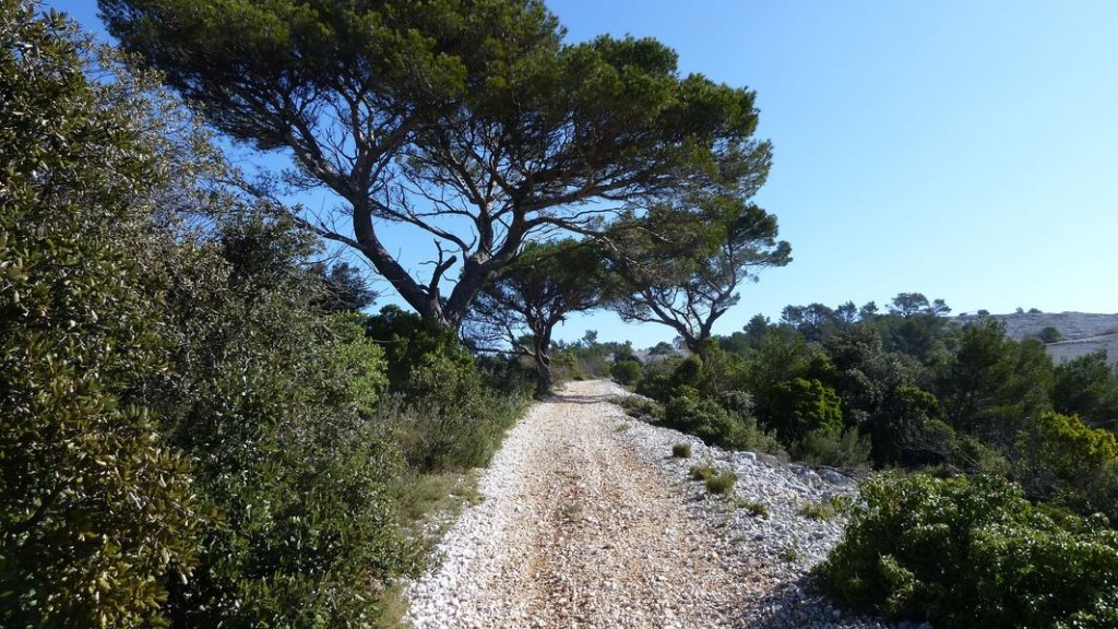 baou_avril_2013_014.jpg