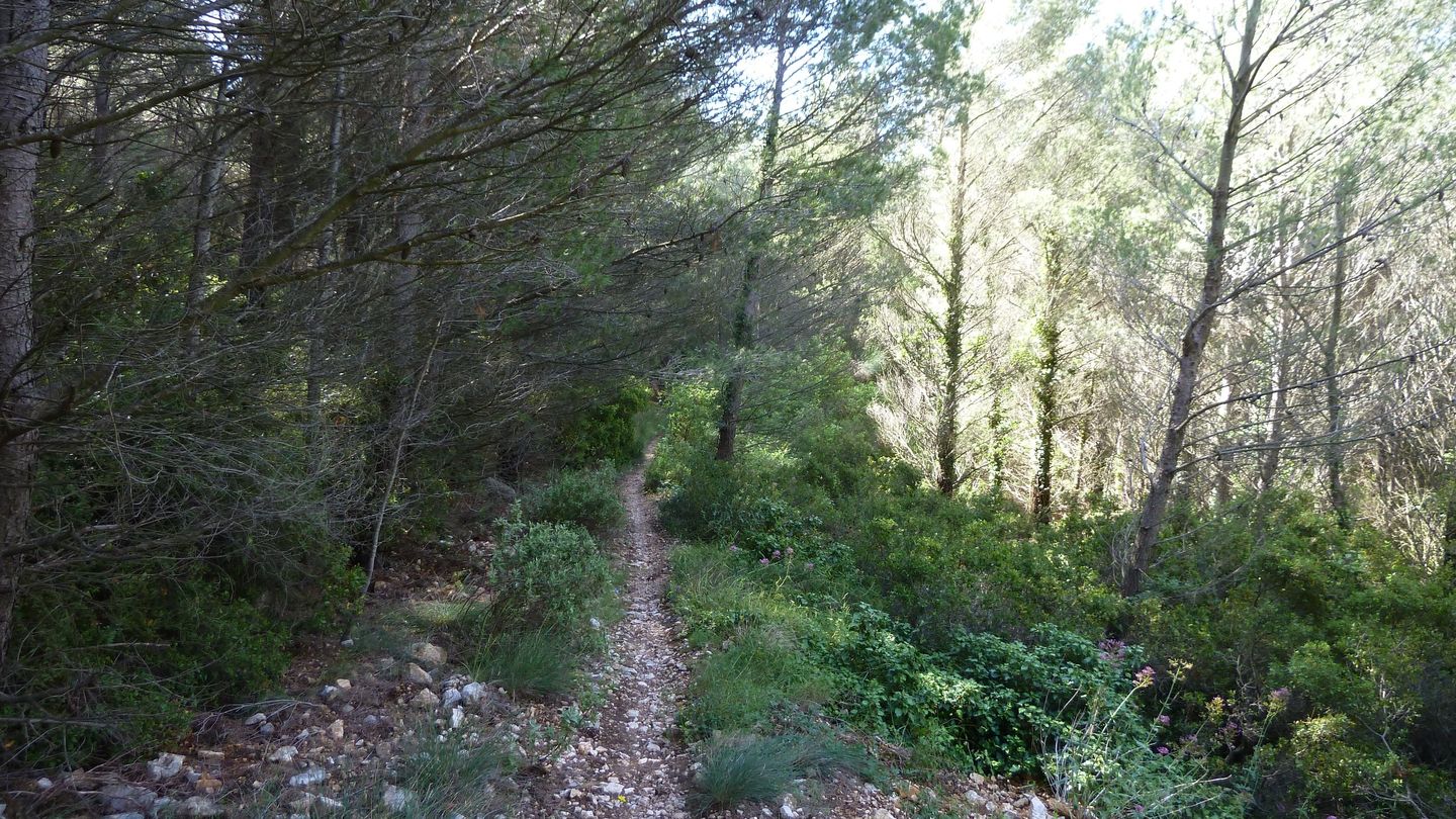 baou_caume_juin_051.JPG