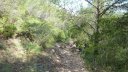 baou_caume_juin_015.JPG