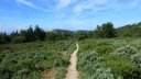 baou_caume_juin_047.JPG