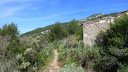 baou_caume_juin_053.JPG