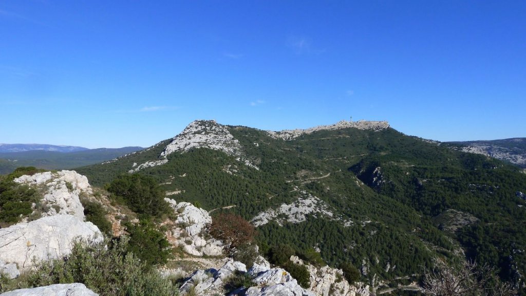 P1100832.JPG