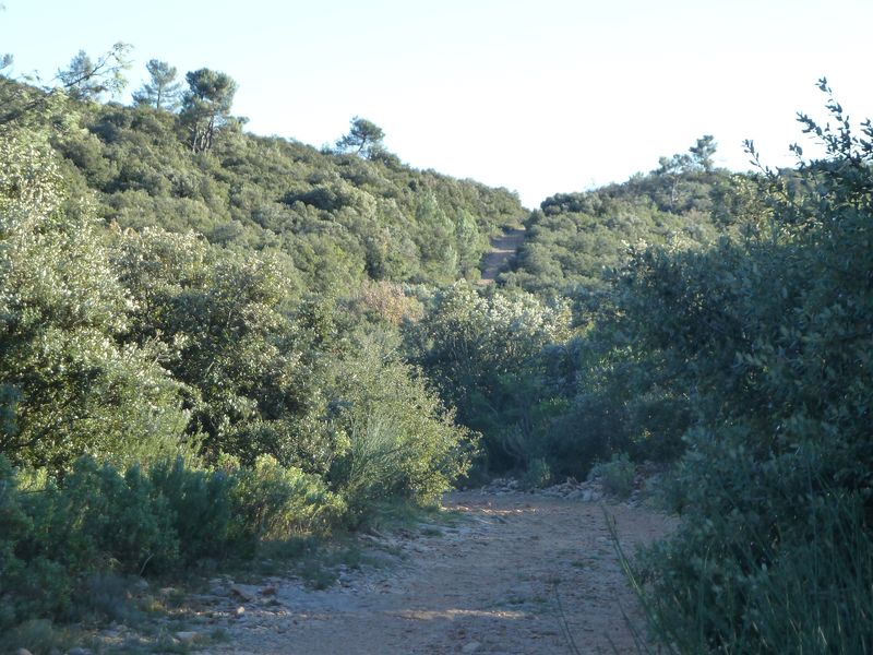barres_cuers_2011_022.jpg