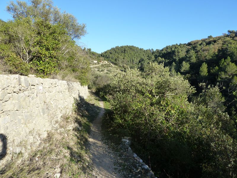 barres_cuers_2011_060.jpg