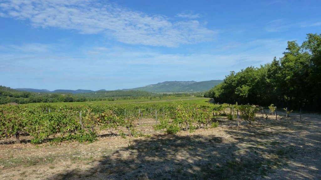 P1130752.JPG