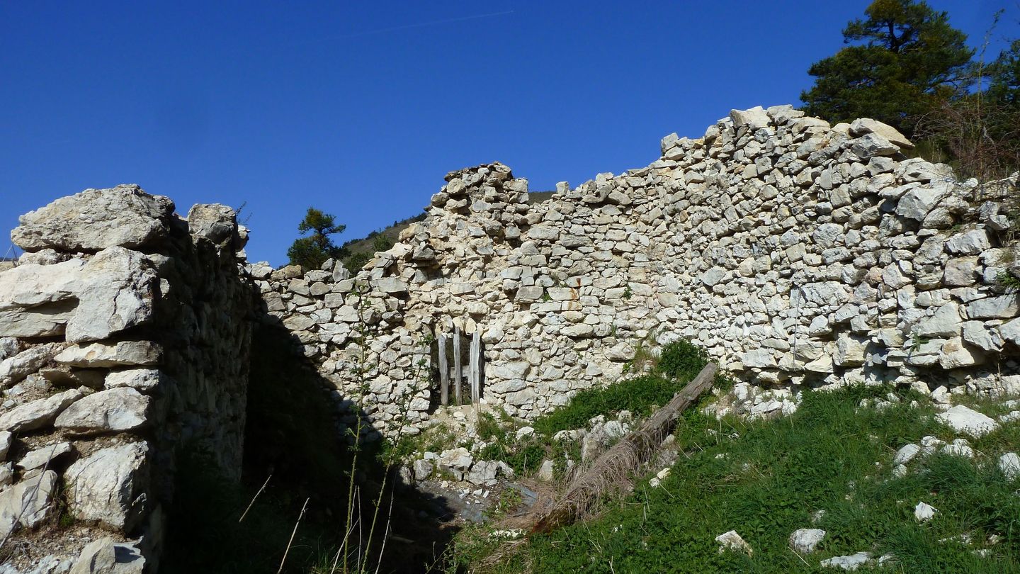 P1000458.JPG