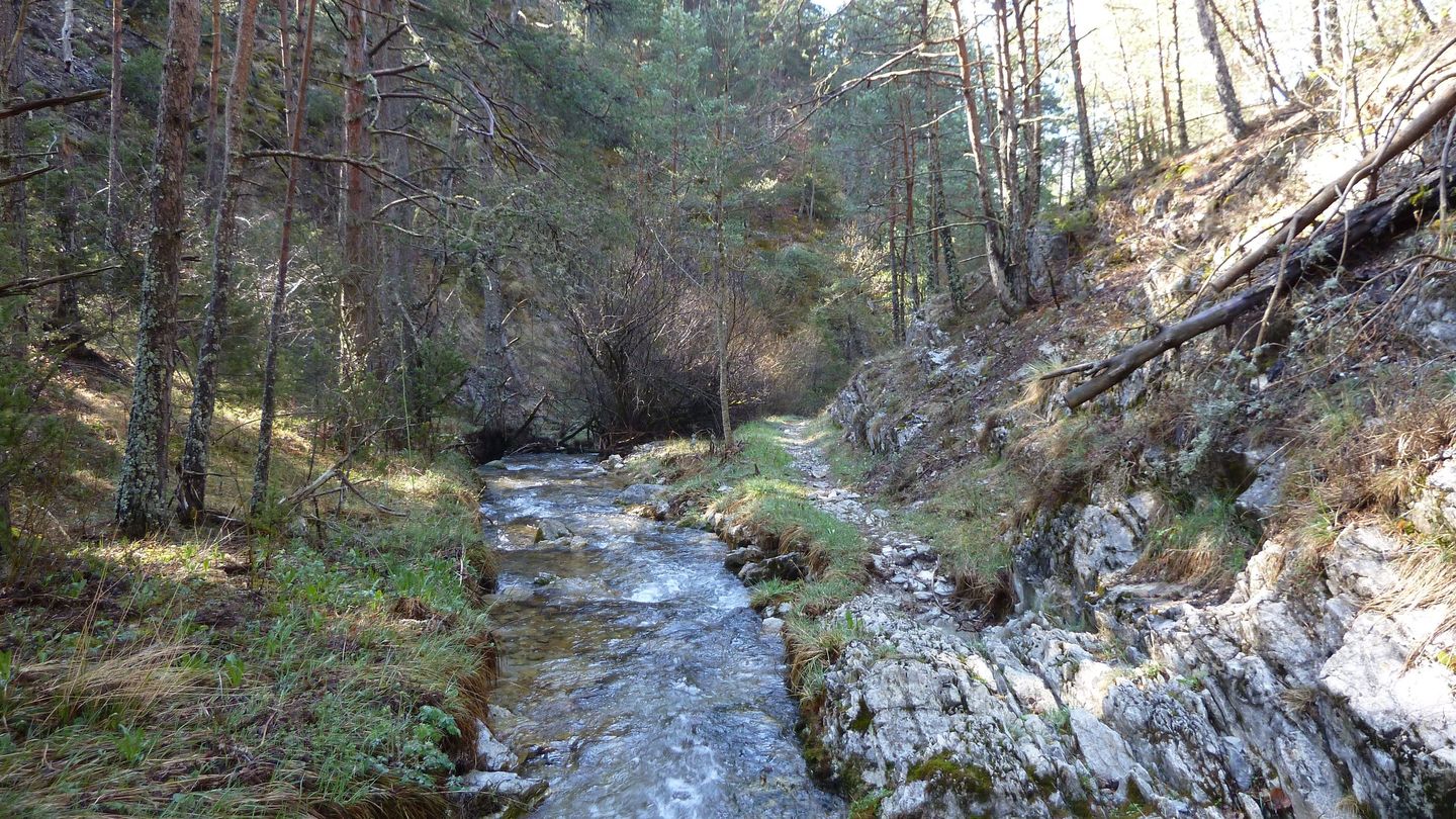 P1000465.JPG