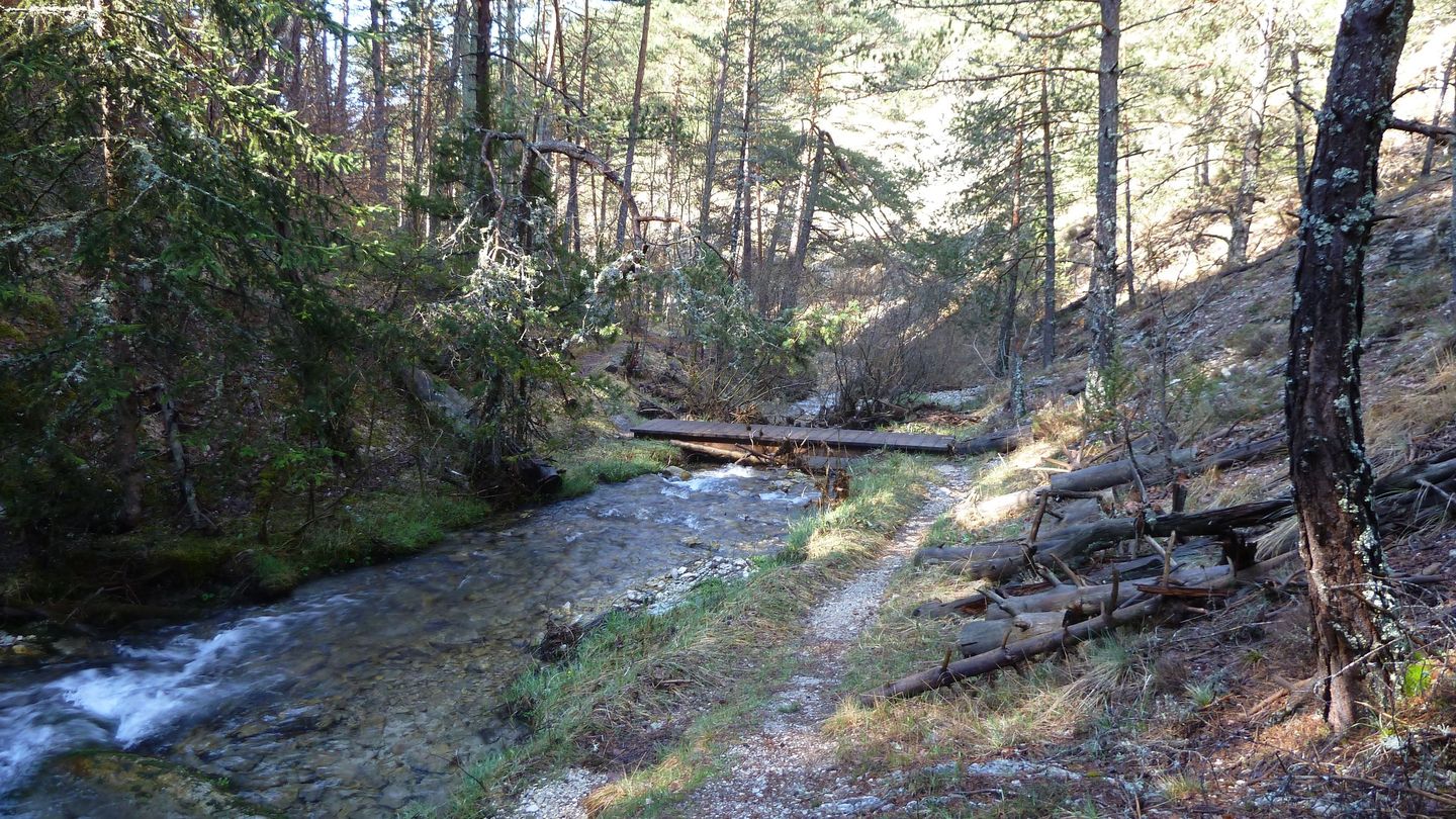 P1000466.JPG