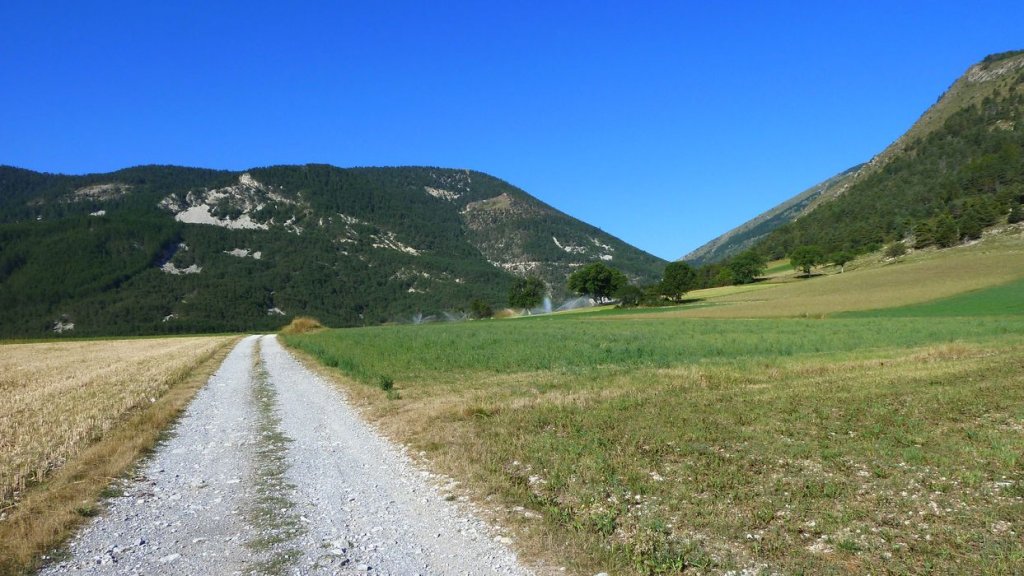 bois_de_favier_2013_006.jpg