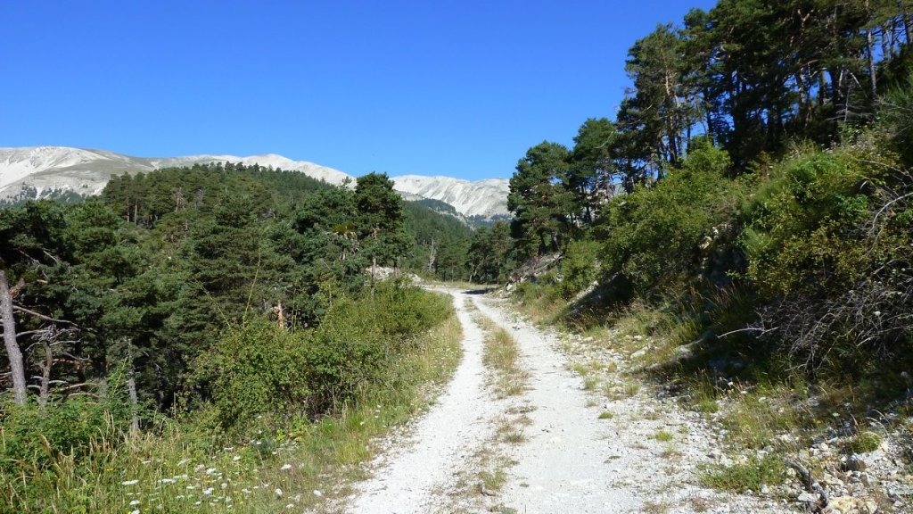bois_de_favier_2013_030.jpg