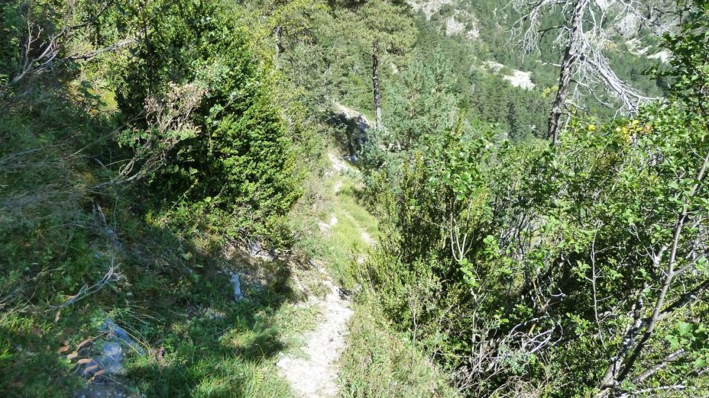 bois_de_favier_2013_050.jpg