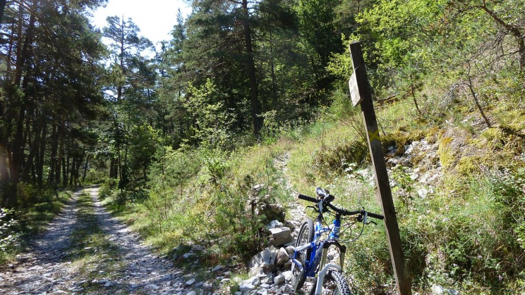 bois_de_favier_2013_062.jpg