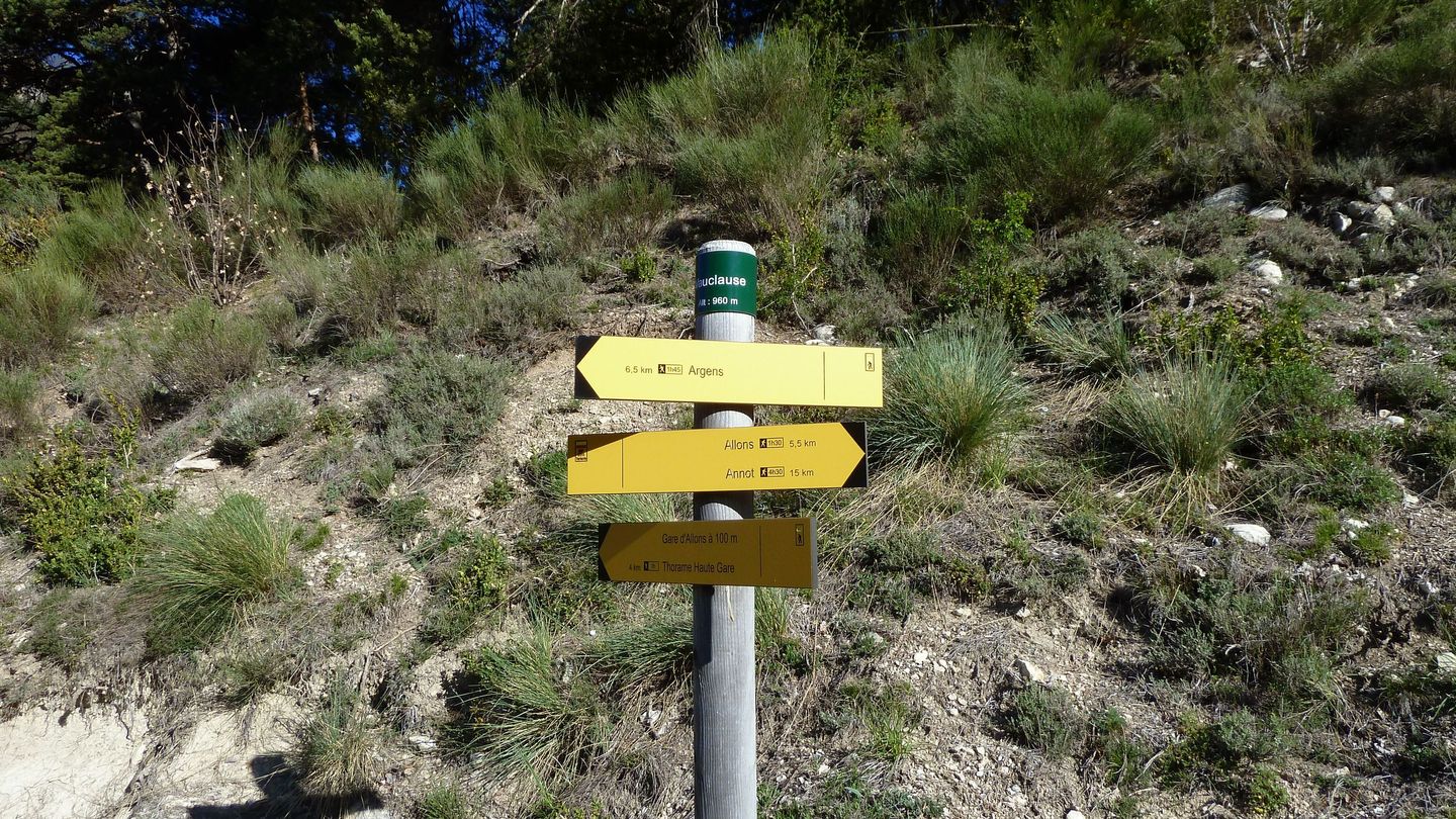 branchaie_avril_2017_004.JPG