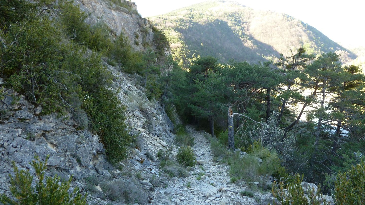 branchaie_avril_2017_016.JPG