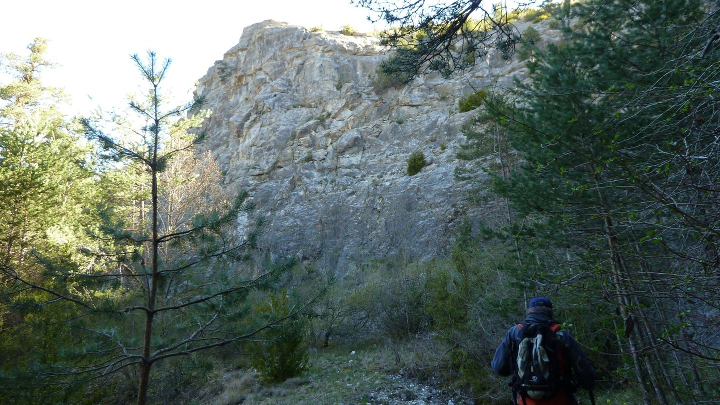 branchaie_avril_2017_025.JPG