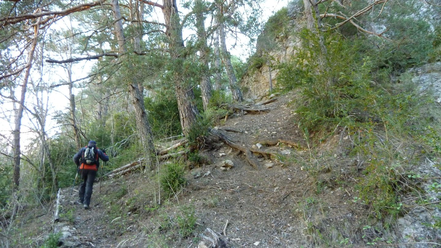 branchaie_avril_2017_028.JPG
