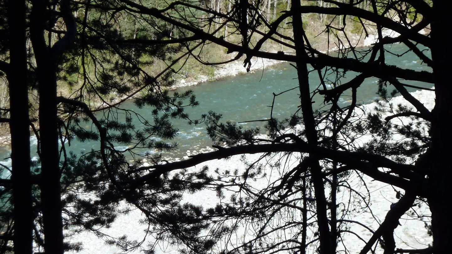 branchaie_avril_2017_034.JPG
