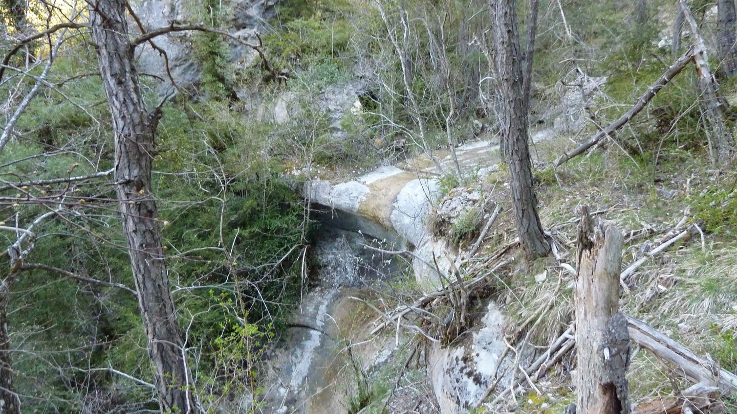 branchaie_avril_2017_037.JPG