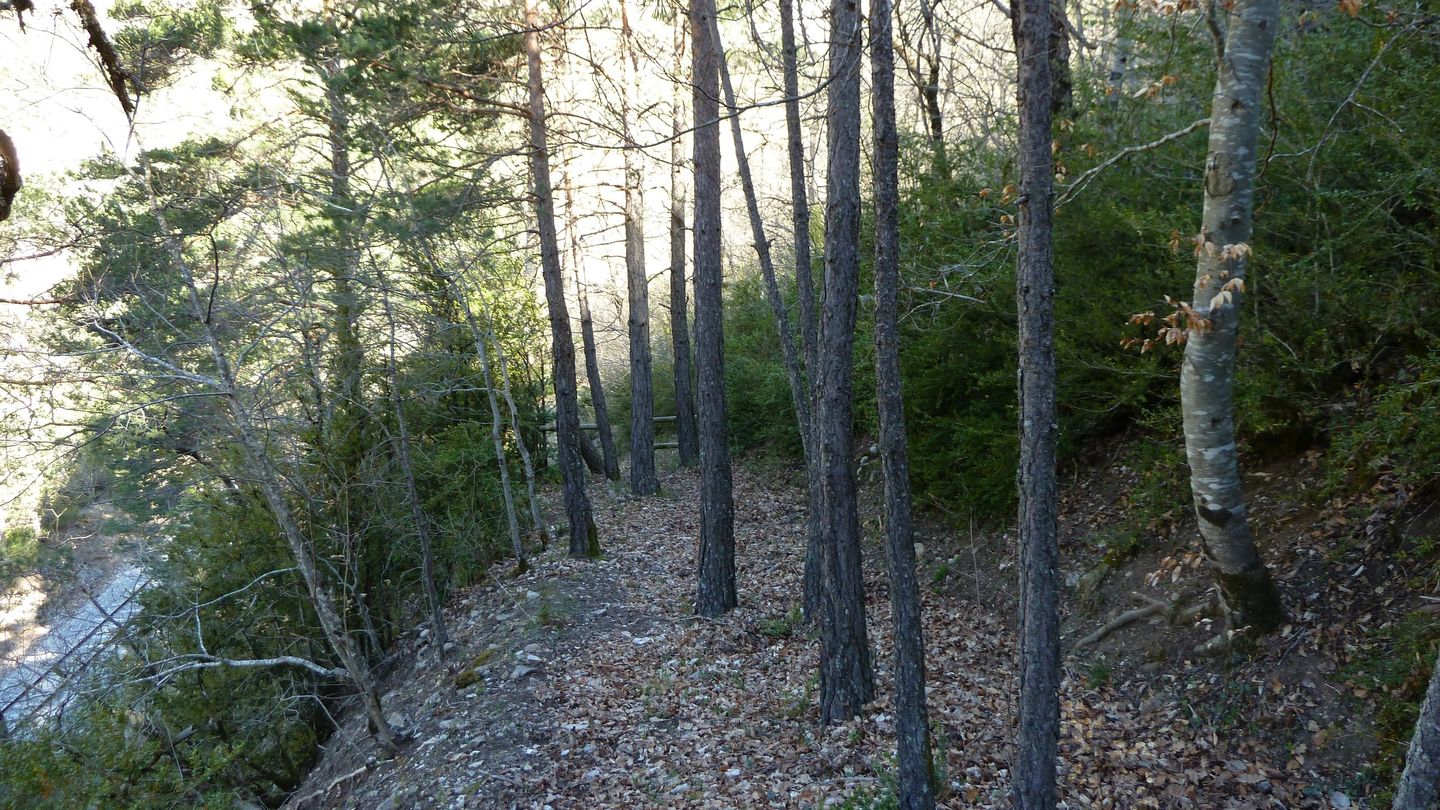 branchaie_avril_2017_058.JPG