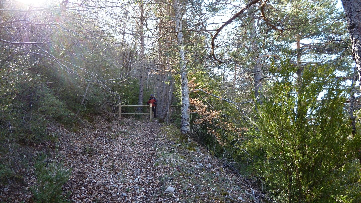 branchaie_avril_2017_061.JPG