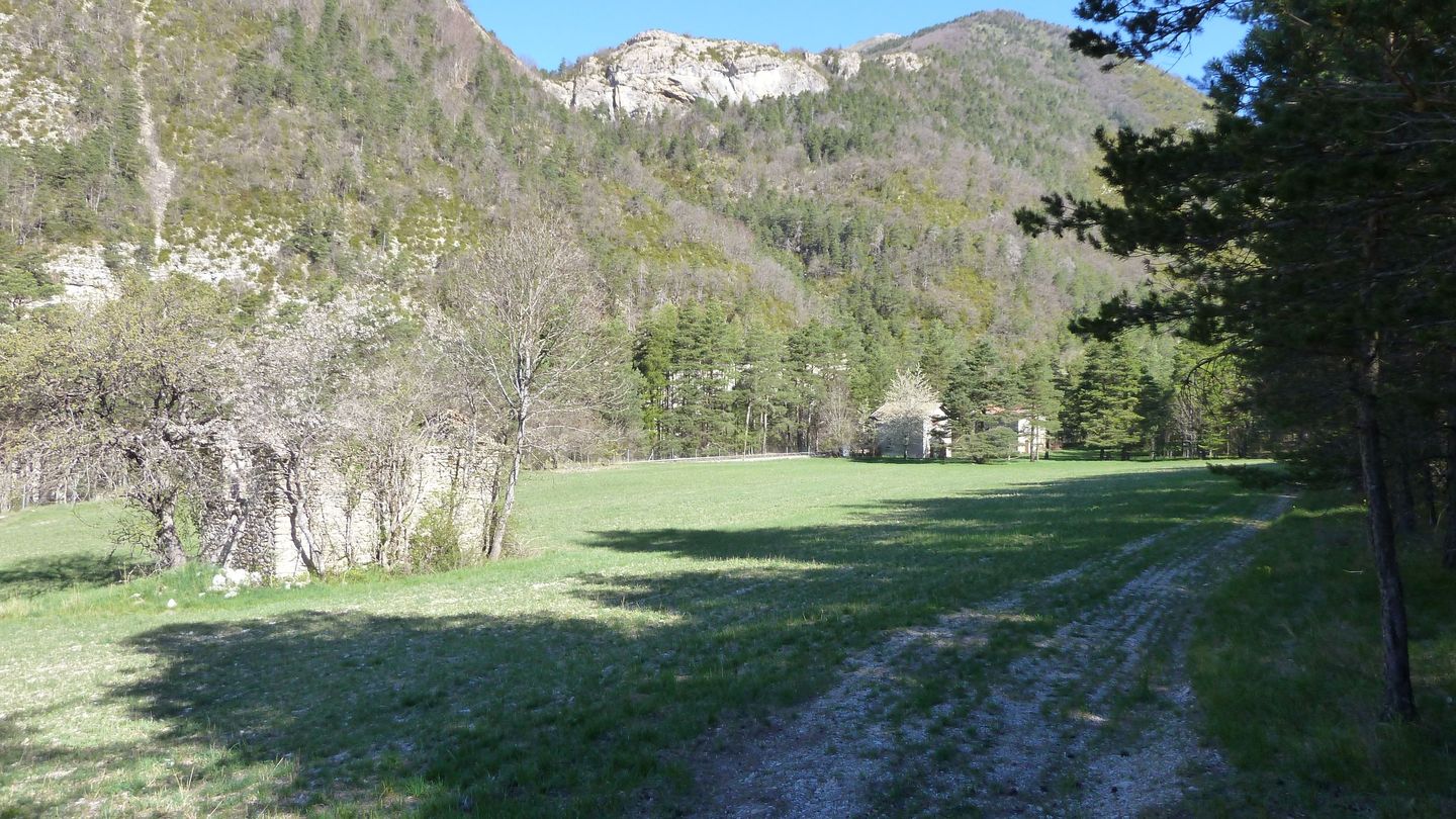 branchaie_avril_2017_067.JPG