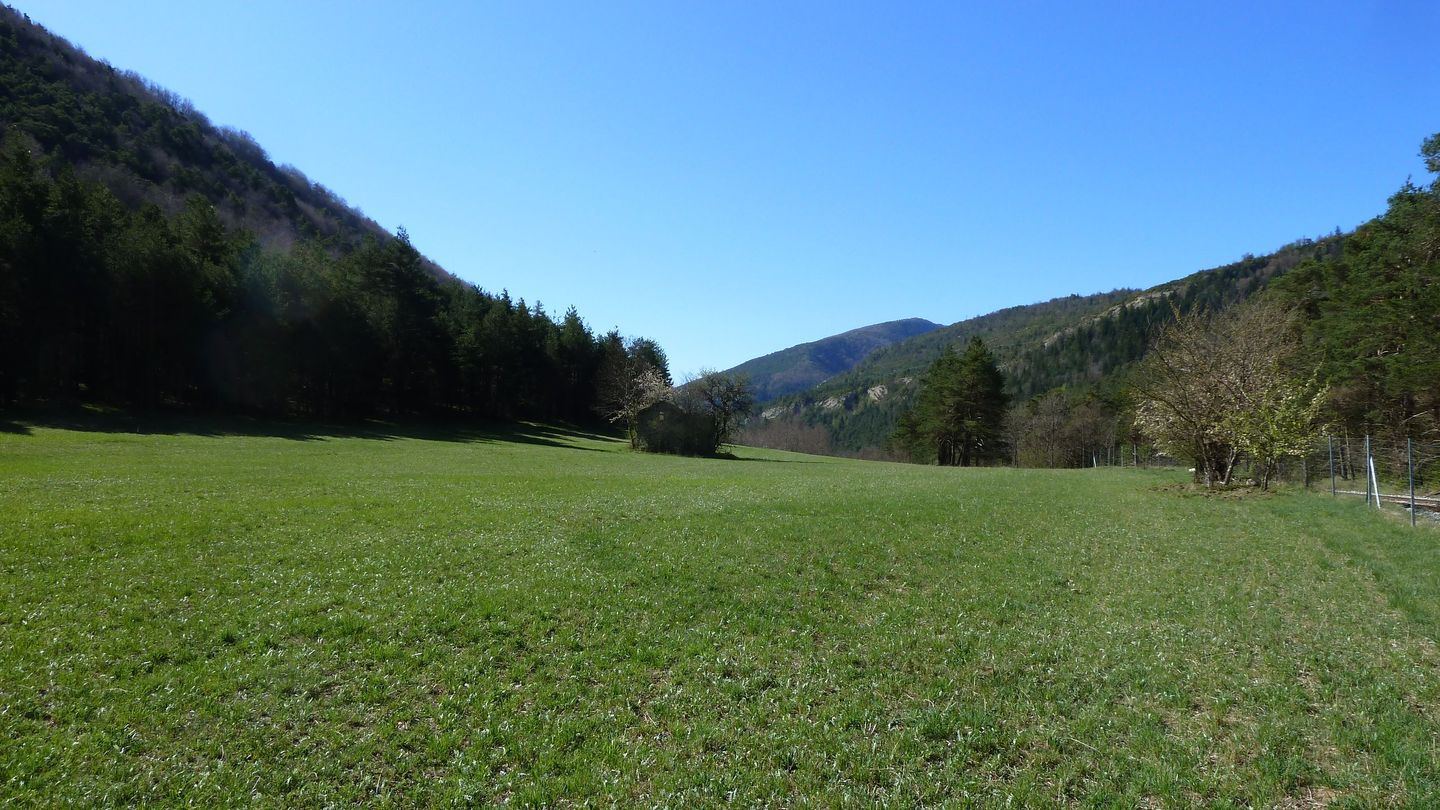 branchaie_avril_2017_079.JPG