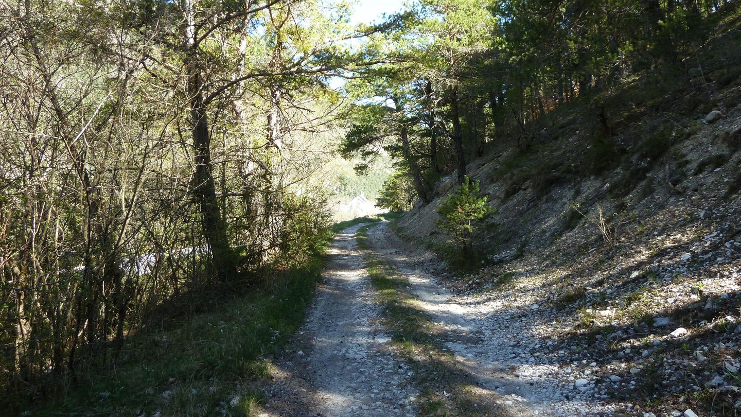 branchaie_avril_2017_088.JPG