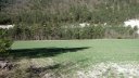 branchaie_avril_2017_064.JPG