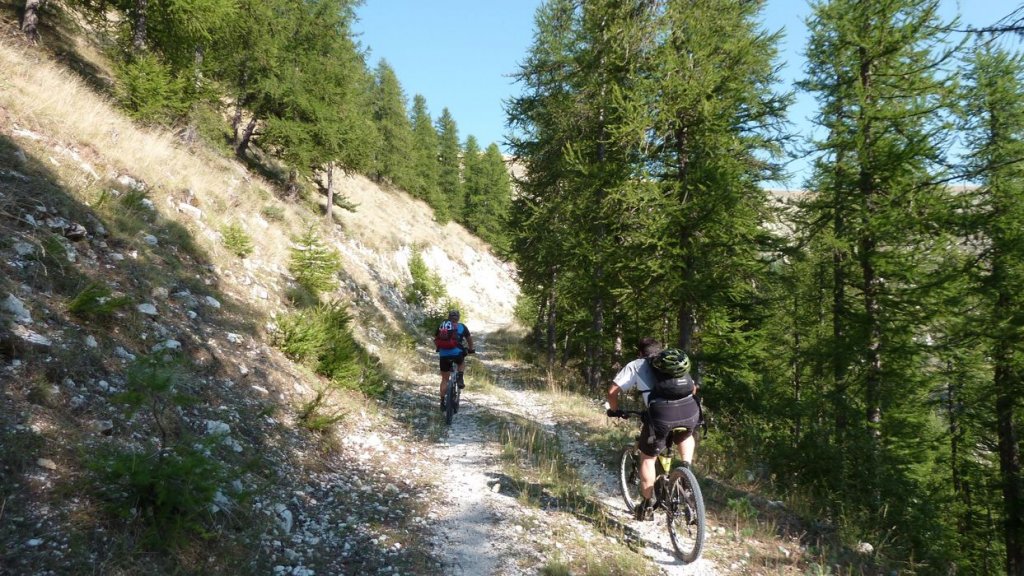 cheval_blanc_aout_2015_073.JPG