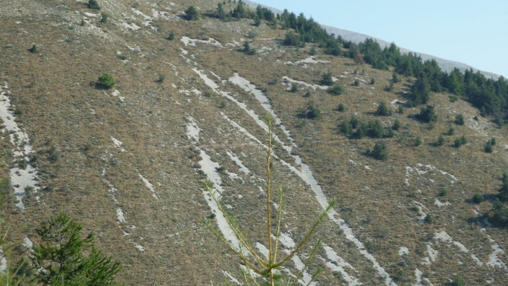 cheval_blanc_aout_2015_077.JPG