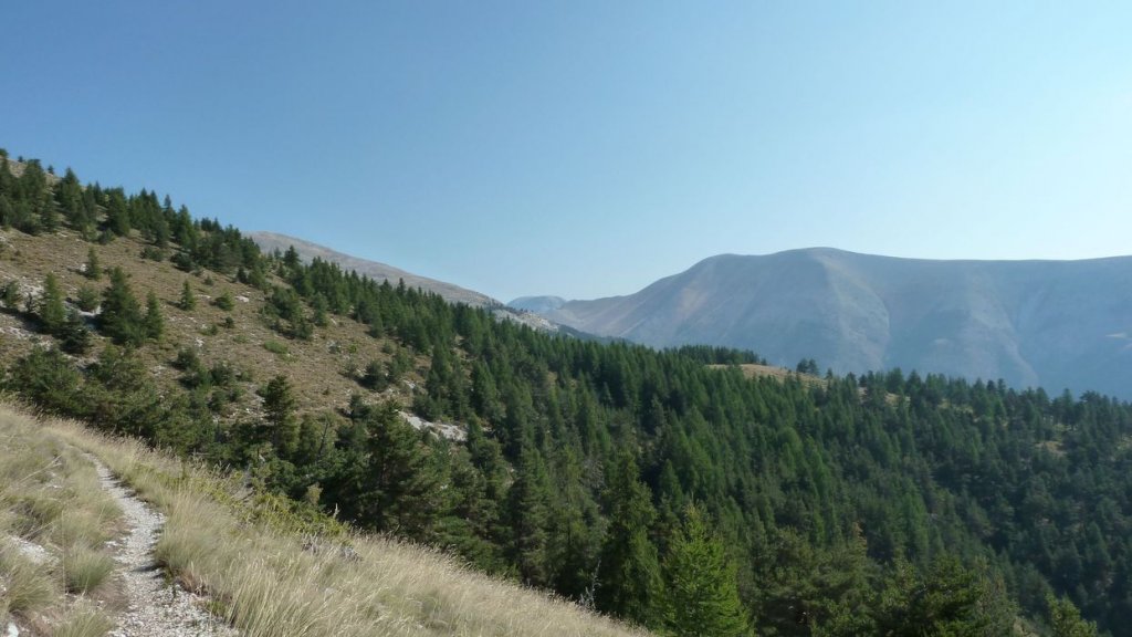 cheval_blanc_aout_2015_101.JPG