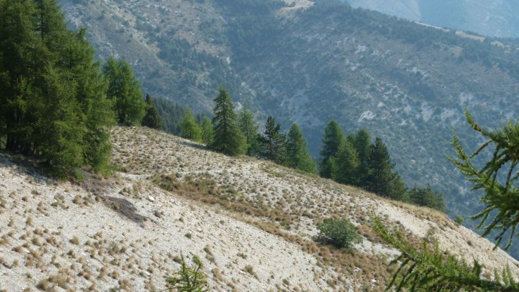 cheval_blanc_aout_2015_121.JPG