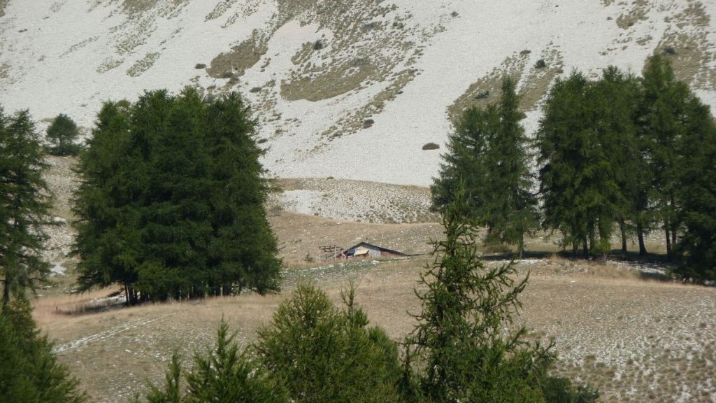 cheval_blanc_aout_2015_123.JPG