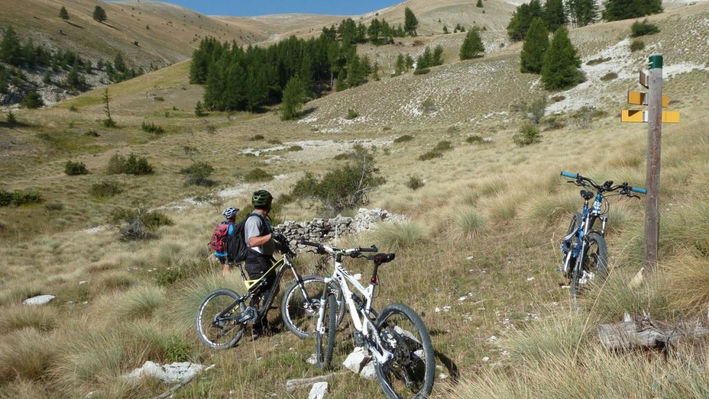 cheval_blanc_aout_2015_143.JPG