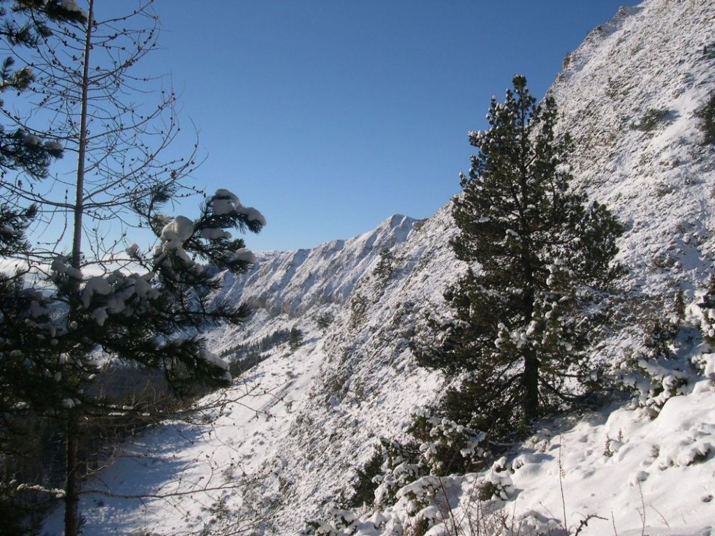 cabane_piche_dec_2004_004.jpg