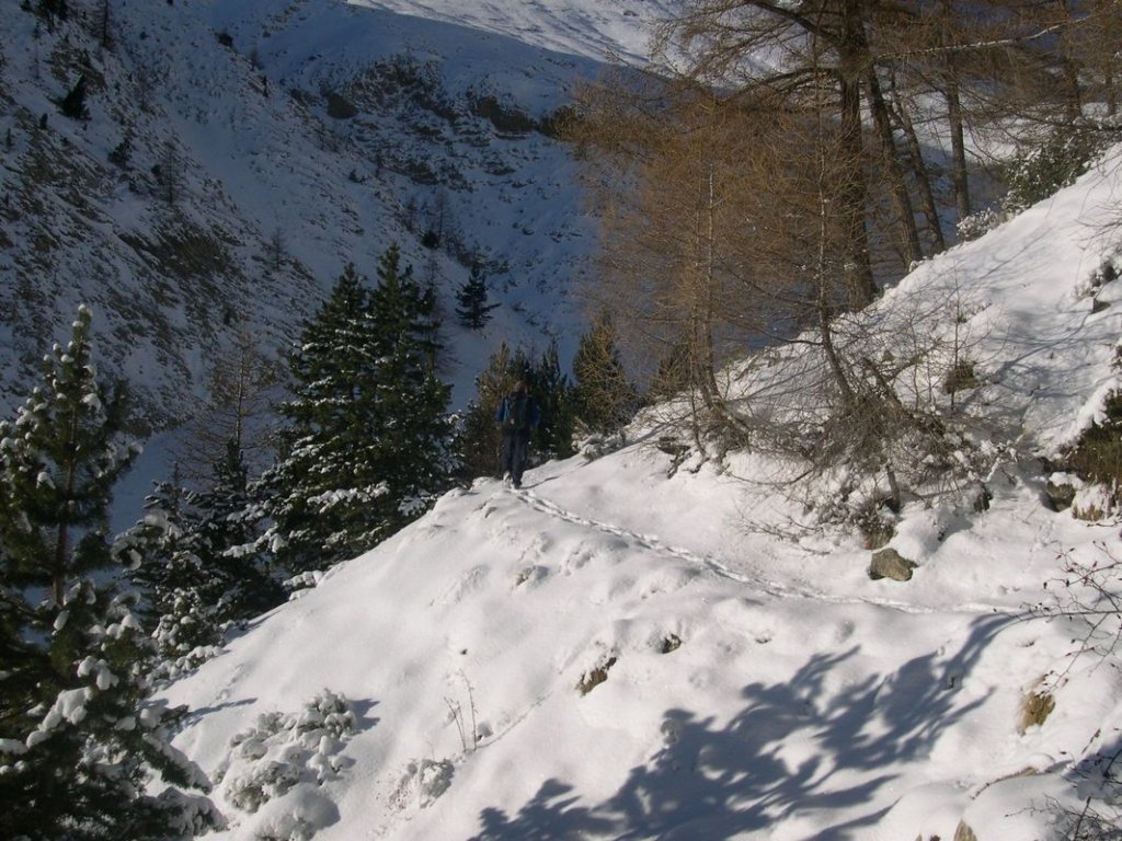 cabane_piche_dec_2004_008.jpg