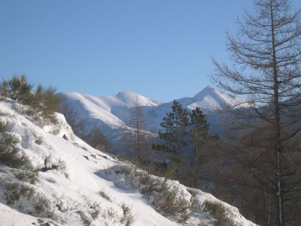 cabane_piche_dec_2004_009.jpg