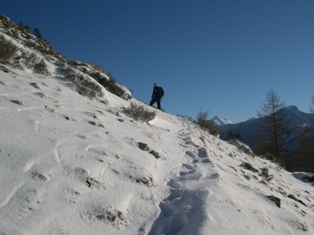 cabane_piche_dec_2004_011.jpg