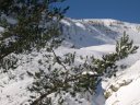 cabane_piche_dec_2004_016.jpg