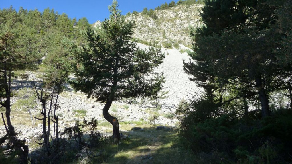 chalufy_vachieres_aout_2012_040.jpg