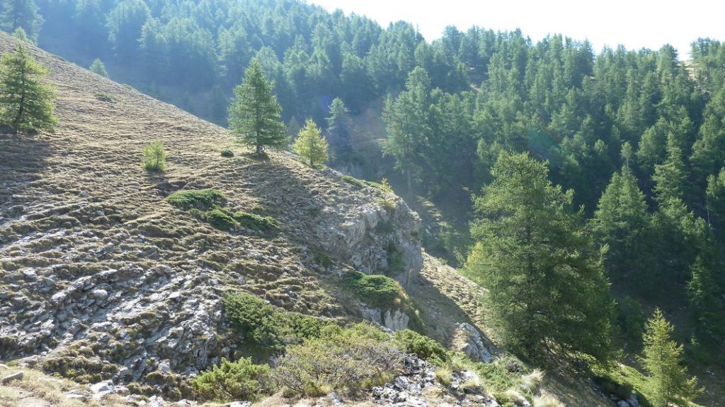 cabane_defend_aout_2012_092.jpg