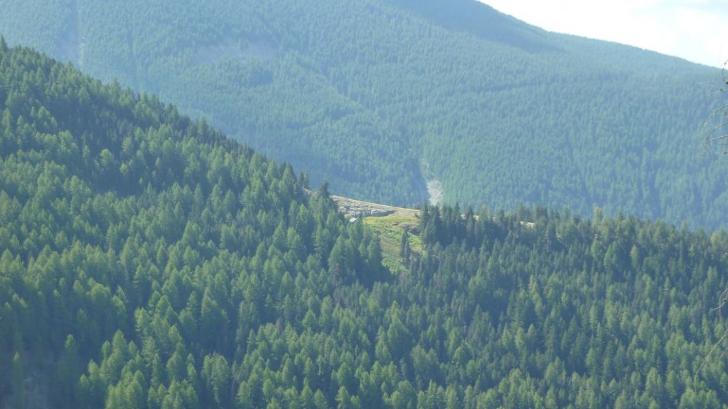 cabane_defend_aout_2012_144.jpg