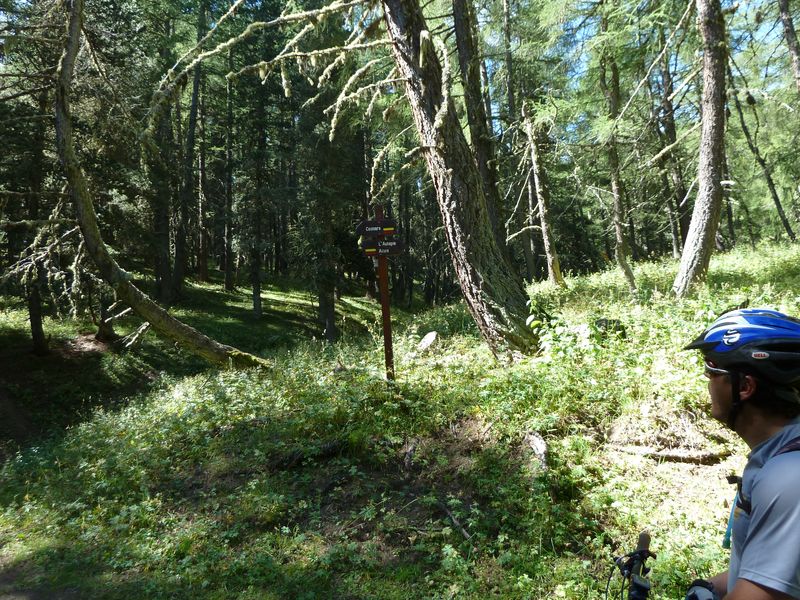 cabane_autapie_2011_039.jpg